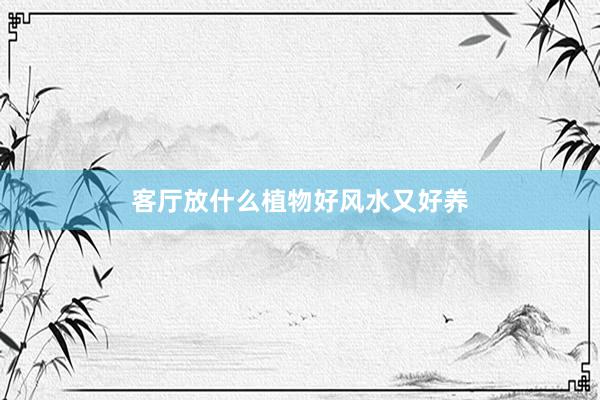 客厅放什么植物好风水又好养