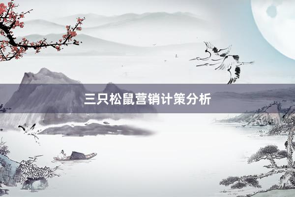 三只松鼠营销计策分析